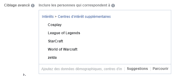 Facebook audience interets