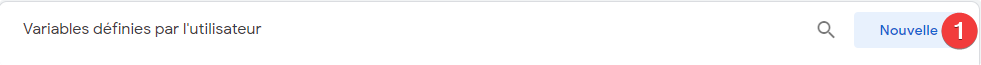 nouvelle variable GTM